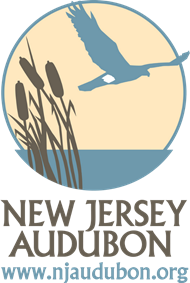 New Jersey Audubon